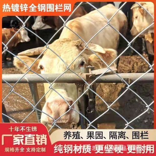 镀锌铁丝勾花网养殖围栏网果园圈地网荷兰网养鸡鸭牛羊防护网批发